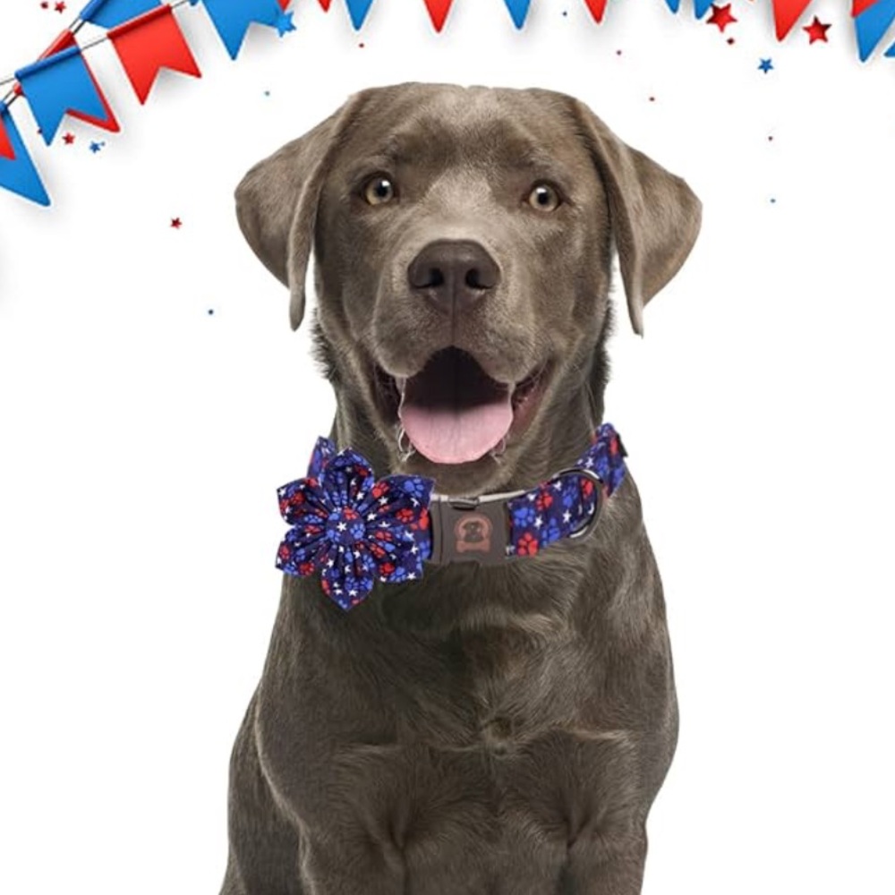 NWT Mr. Chubbyface 4th of July Dog Collar with Flower, XL Adjustable,